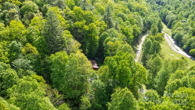 a map view of a forest