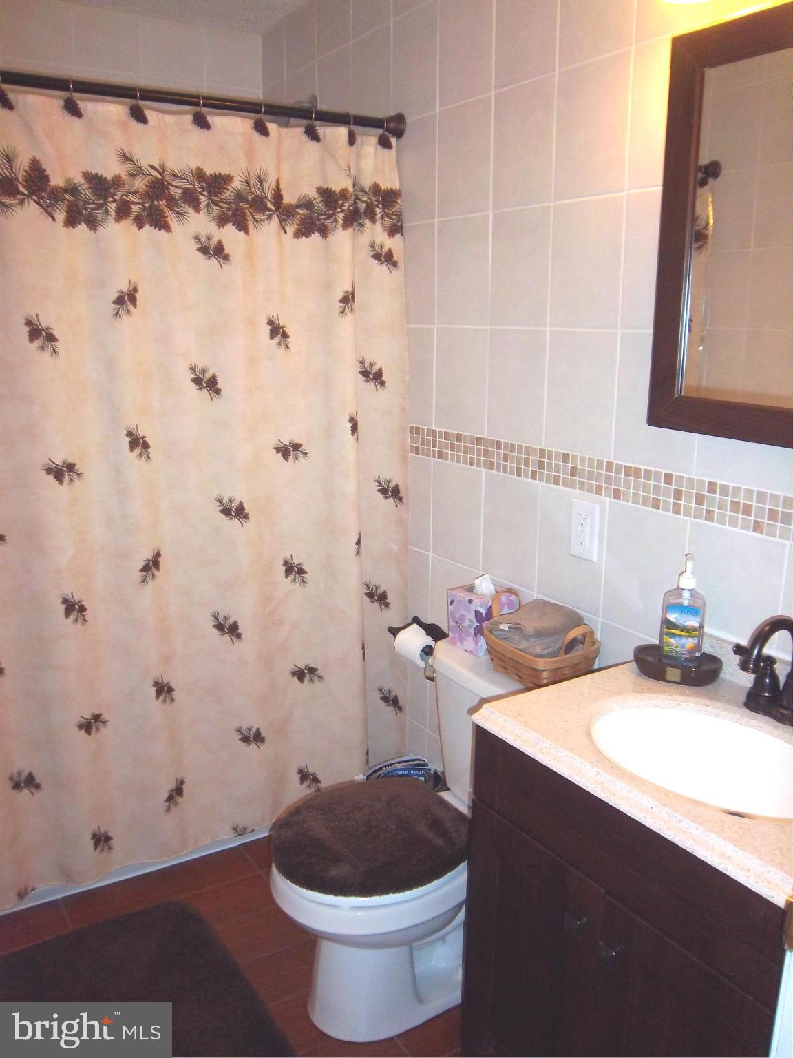 8436 Garland Road Pasadena, MD 21122 - Photo 5 of 17 Bath