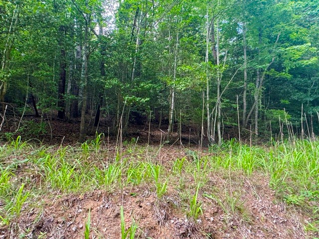 9 Timberline Road Murphy, NC 28906 - Photo 13 of 14 Gallery Image 13