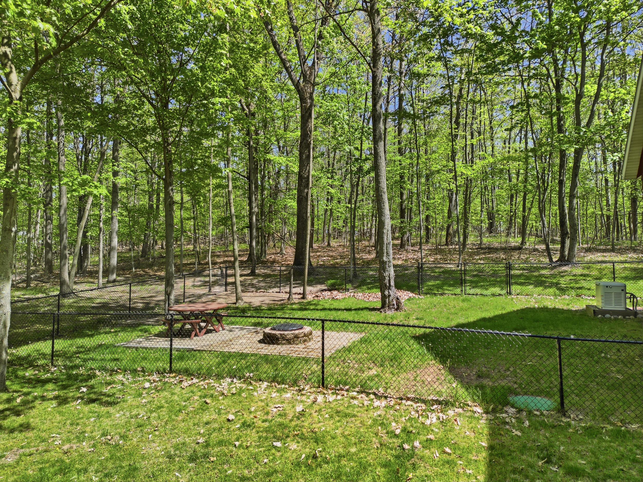 9965 Rising Star Lane Canadian Lakes, MI 49346 - Photo 43 of 50 Outdoor Firepit