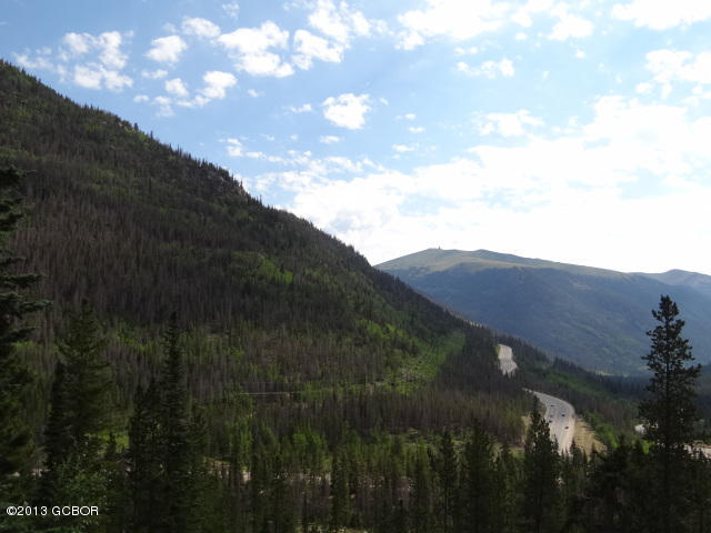 Tbd Empire, CO 80438 - Photo 4 of 4 Profile of Site