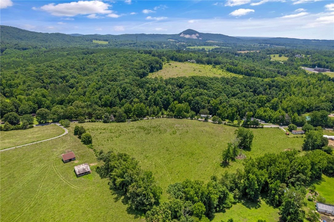 0 Mt Tabor Church Road Pickens, SC 29671 - Photo 14 of 15