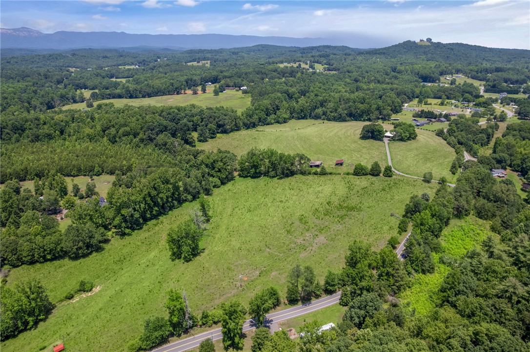 0 Mt Tabor Church Road Pickens, SC 29671 - Photo 5 of 15