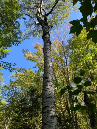 $100,000 | 4 Government Road, Ashland, WI 54806