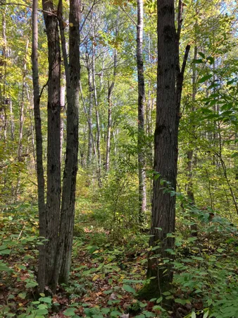 $100,000 | 4 Government Road, Ashland, WI 54806