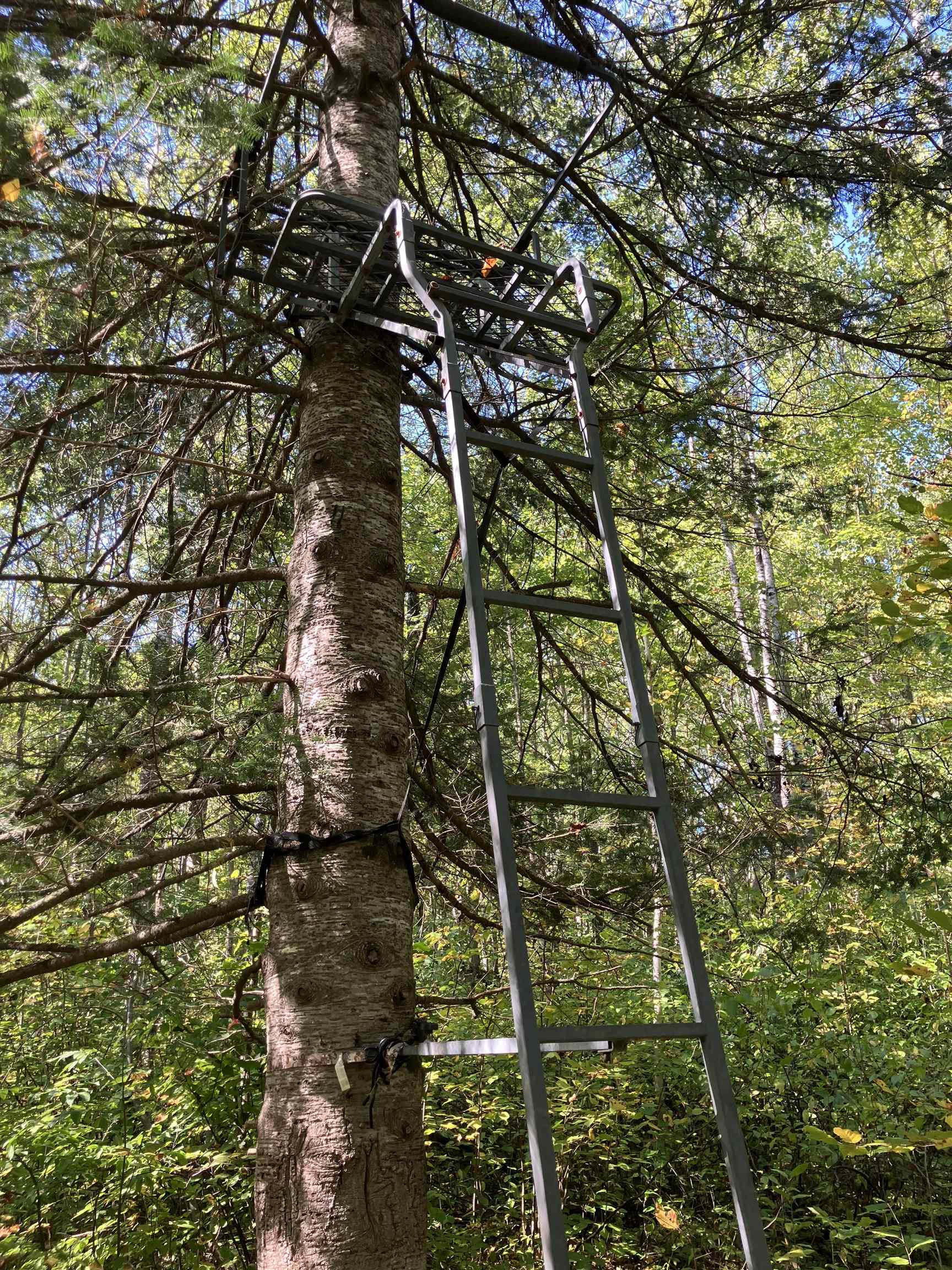 4 Government Road Ashland, WI 54806 - Photo 6 of 10 View of nature
