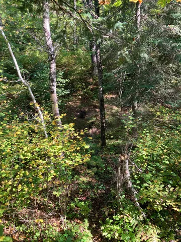 $100,000 | 4 Government Road, Ashland, WI 54806