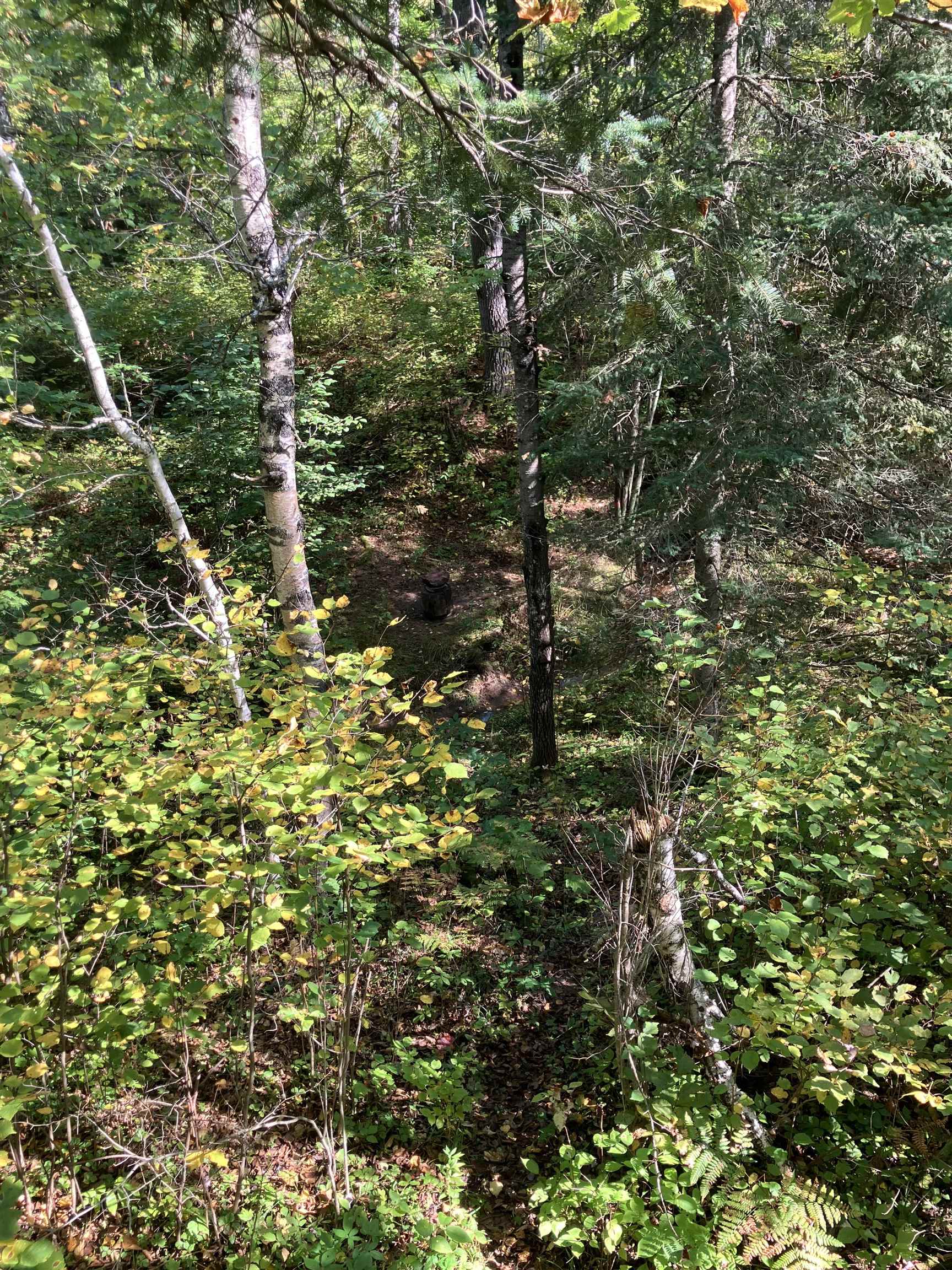 4 Government Road Ashland, WI 54806 - Photo 7 of 10 View of woods