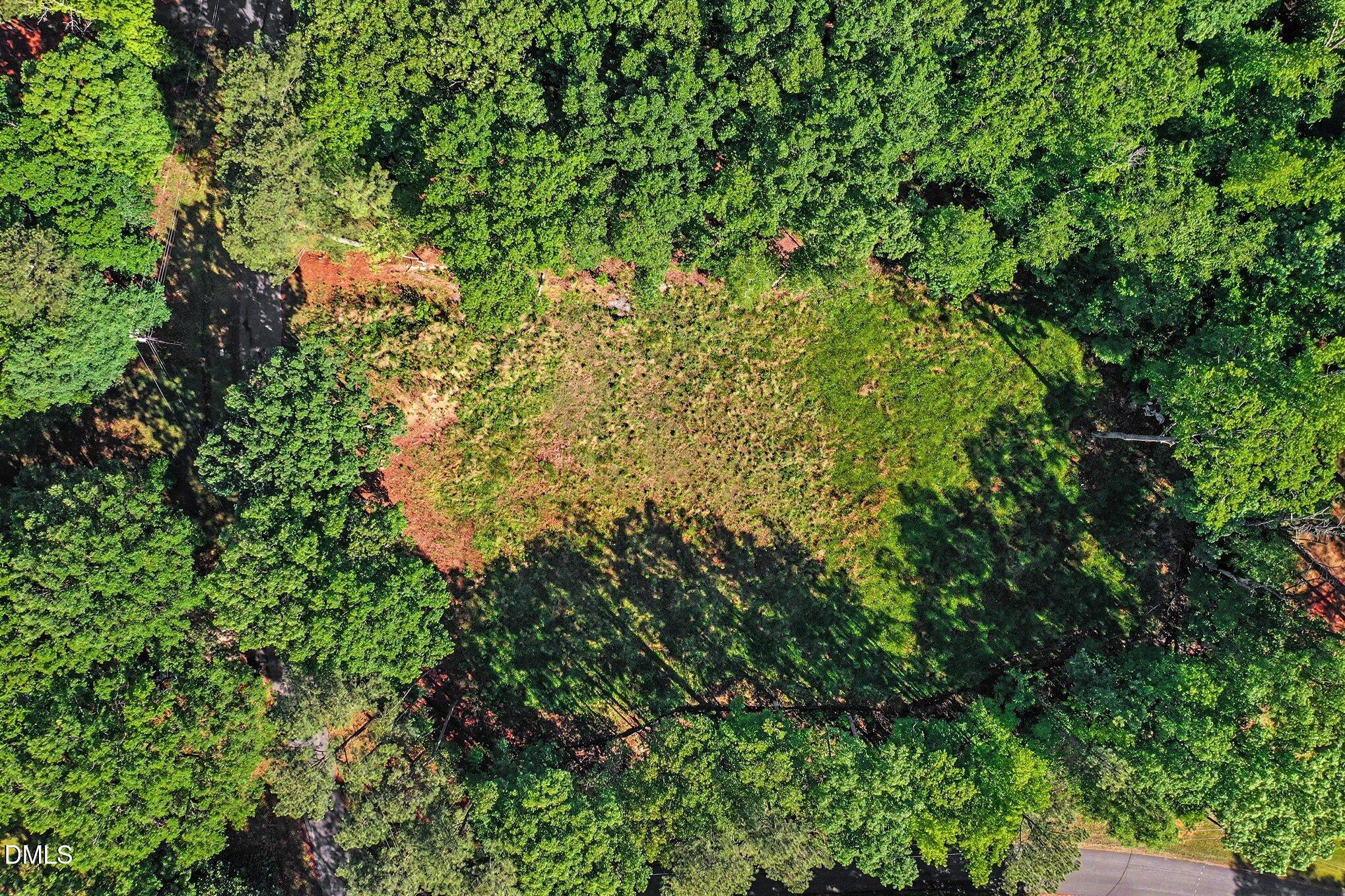 2116 Forest Ridge Place Durham, NC 27705 - Photo 10 of 19 010_file_9210