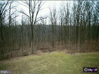 427 Vinemont Road Sinking Spring, PA 19608 - Photo 6 of 6