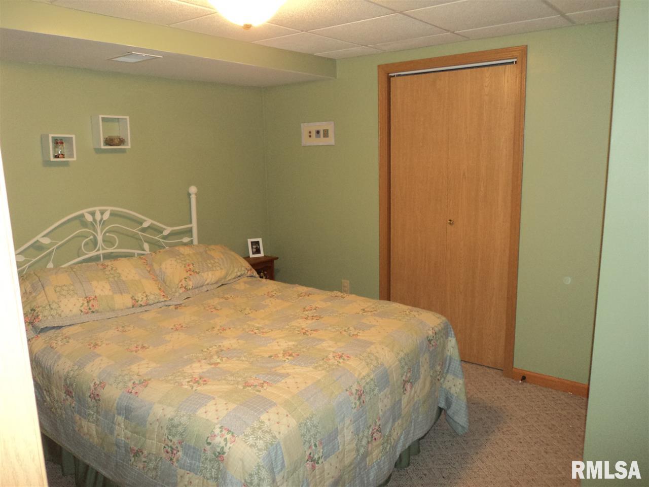 111 North 3rd Street Colona, IL 61241 - Photo 11 of 23 Gallery Image 11