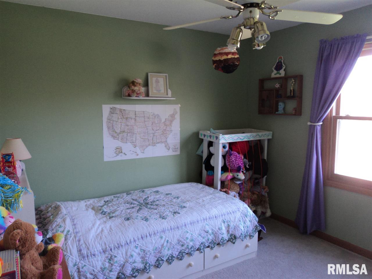 111 North 3rd Street Colona, IL 61241 - Photo 13 of 23 Gallery Image 13