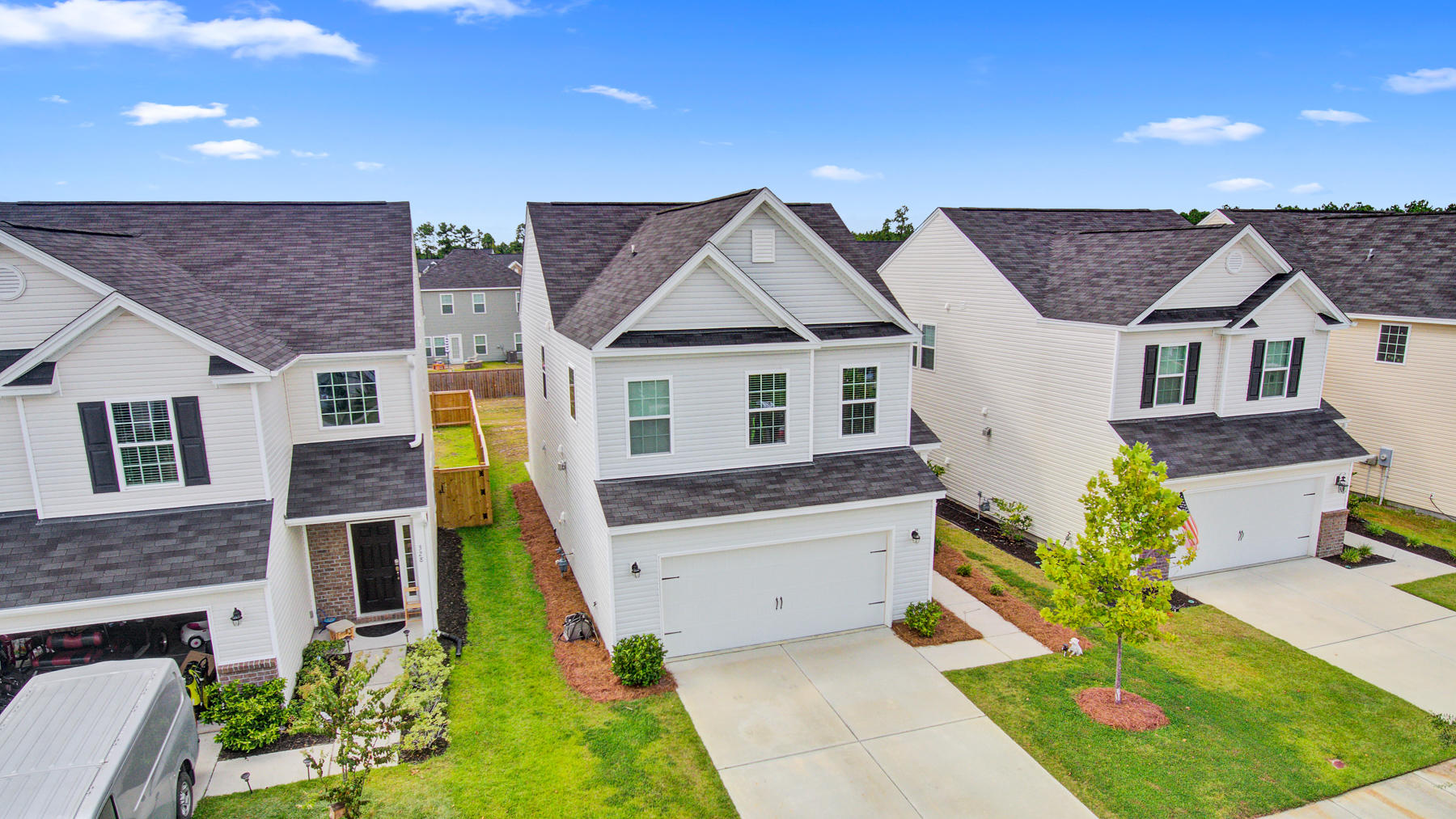 Topher 326 Beauty berry, Summerville SC