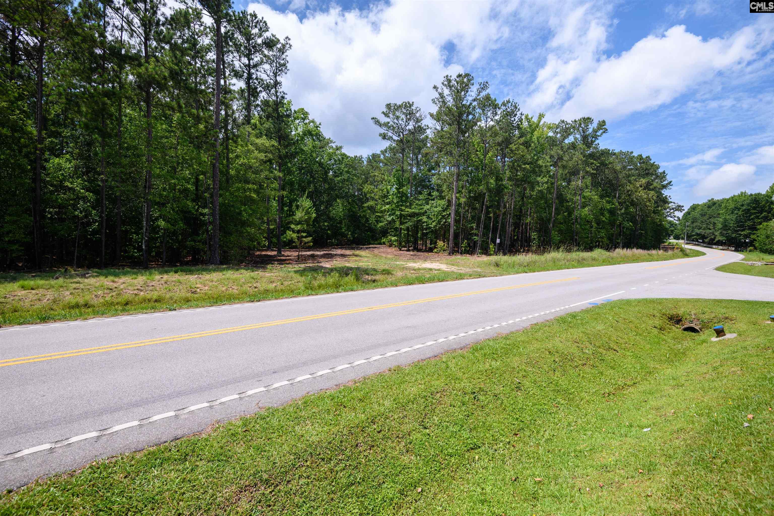227 State Rd S-32-145, Unit LOT 1 Lexington, SC 29072 - Photo 6 of 23