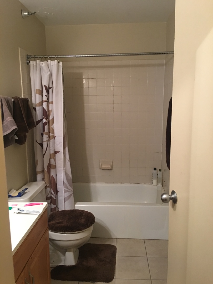 200 North Dearborn Street, Unit 2002 Chicago, IL 60601 - Photo 7 of 11 a bathroom with a granite countertop bathtub shower and toilet