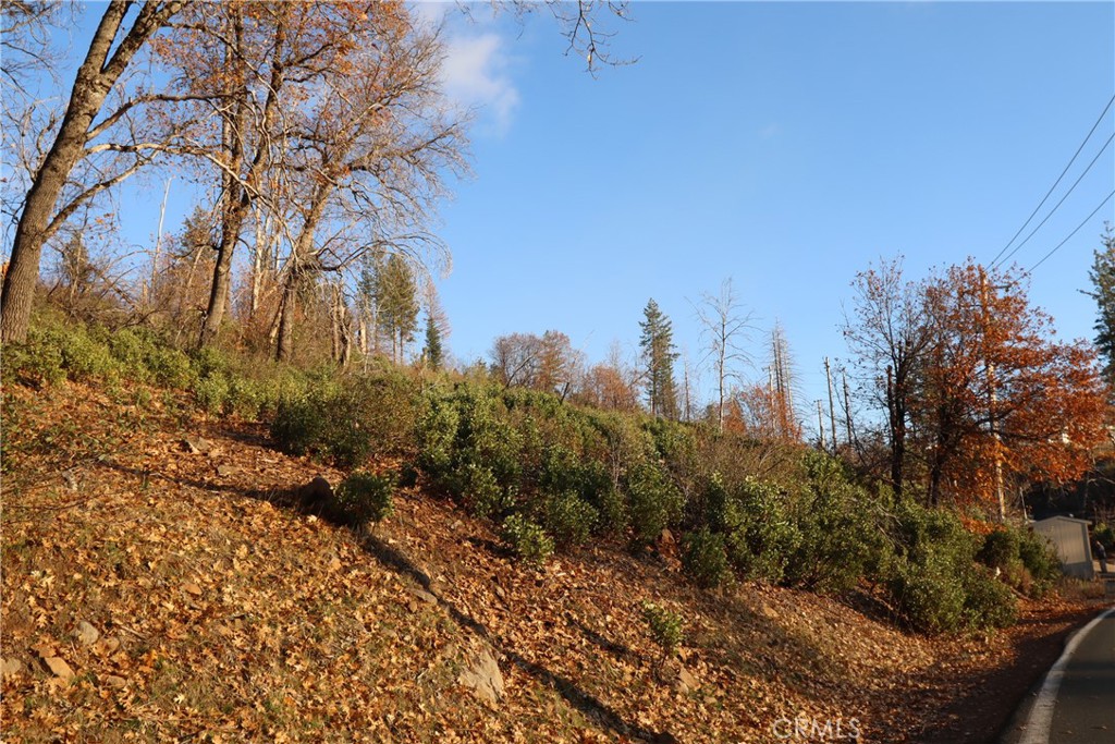 11451 Gifford Springs Road Cobb, CA 95426 - Photo 5 of 8 a view of a forest with a tree in the background