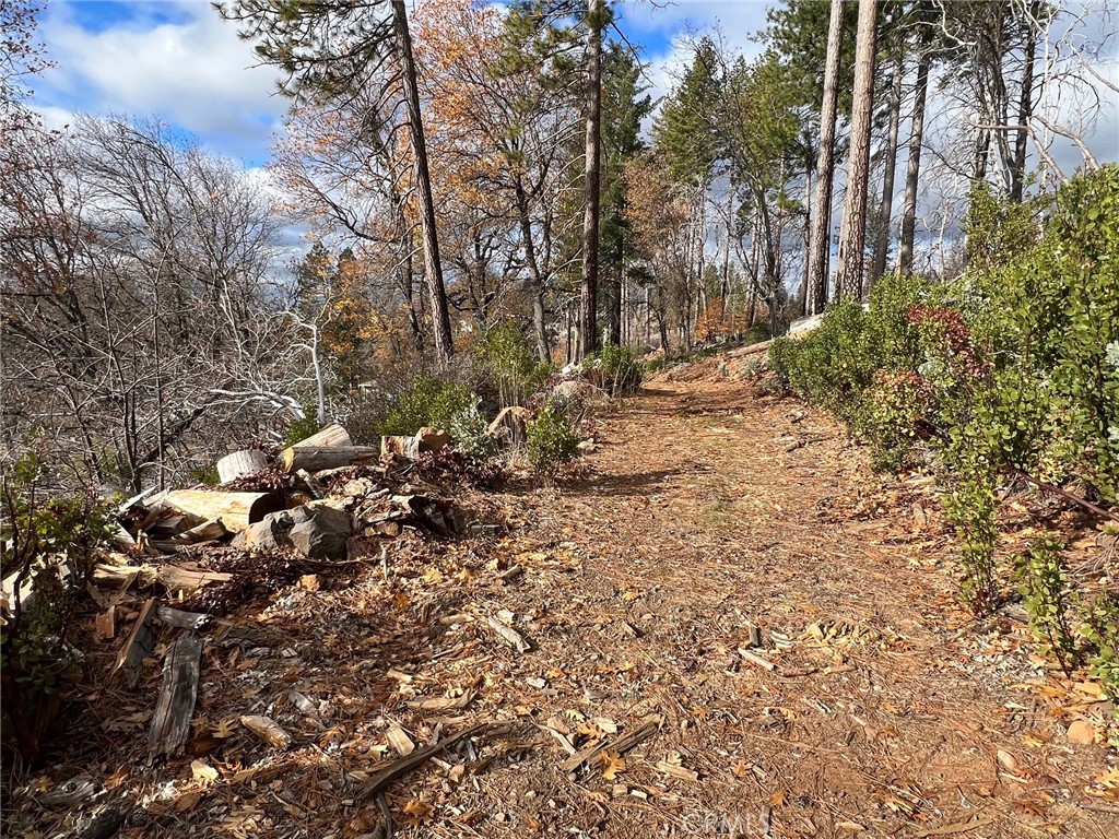 11451 Gifford Springs Road Cobb, CA 95426 - Photo 6 of 8 a view of a yard with a tree