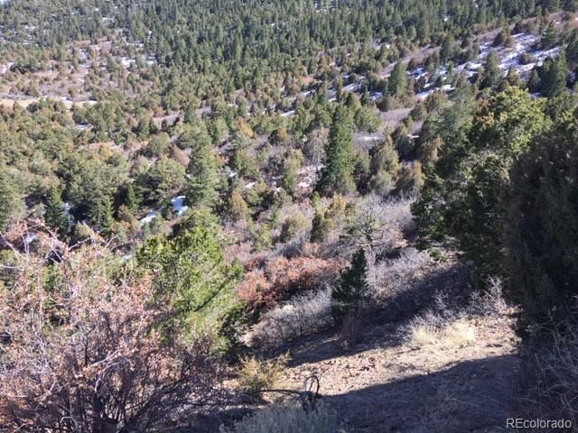 Lot 46 Knotty Pine Road Howard, CO 81233 - Photo 10 of 13 Gallery Image 10