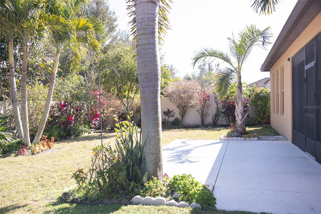 9047 Reflection Pointe Drive Windermere, FL 34786 - Photo 50 of 56