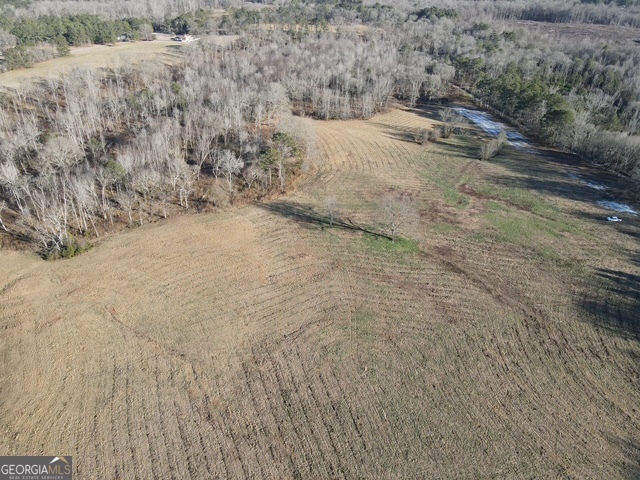 Lot 4 Kendrick Zebulon, GA 30295 - Photo 3 of 8 a view of a dry yard with trees