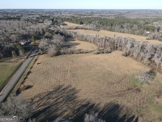 Lot 4 Kendrick Zebulon, GA 30295 - Photo 6 of 8 a view of a dry yard with trees