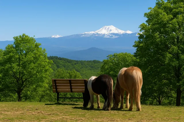 $217,000 | 16240 Old Mission Drive, Red Bluff, CA 96080