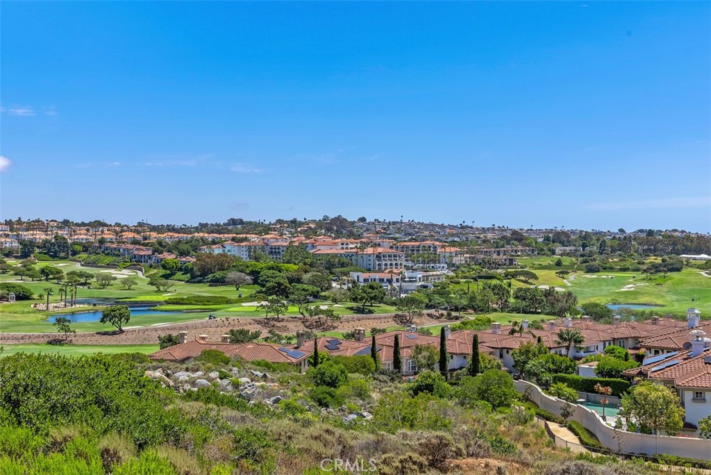 23294 Atlantis Way Dana Point, CA 92629 - Photo 48 of 59