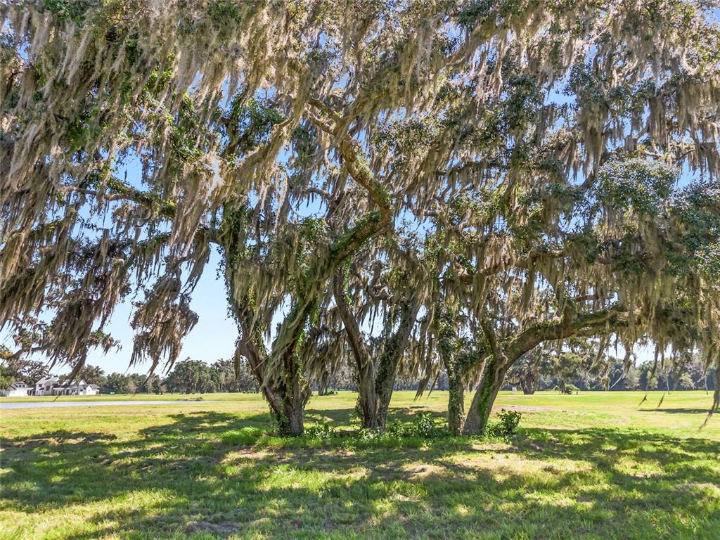 27 Southwest 138th Loop Dunnellon, FL 34432 - Photo 14 of 27 a view of an ocean with a yard