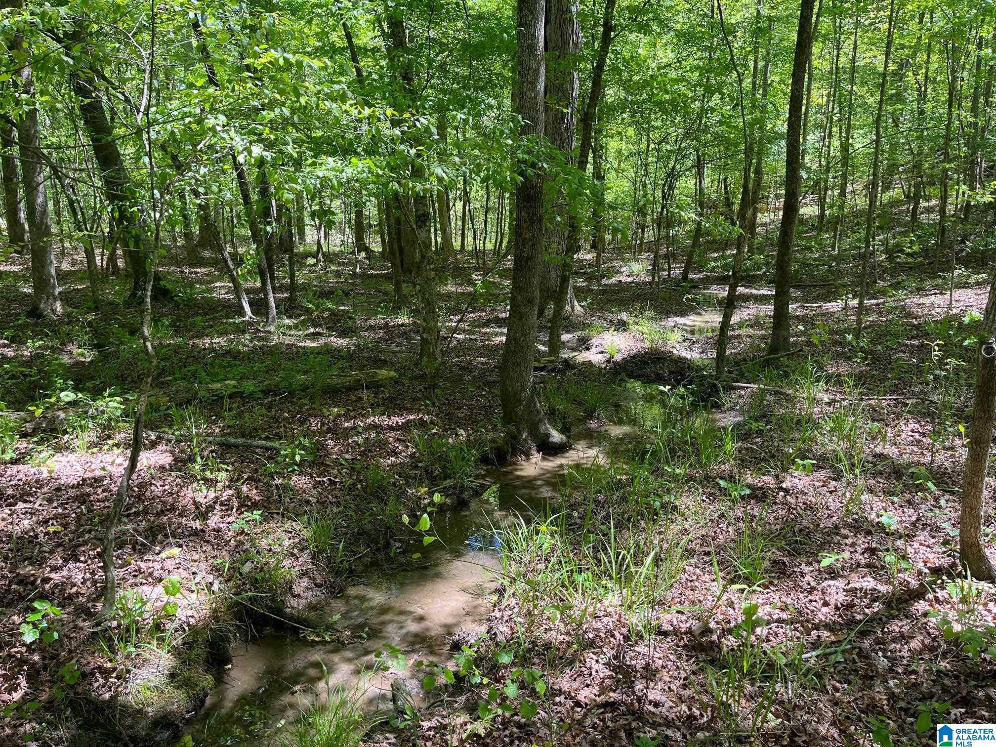 662 Blair Road, Unit 231 AC Ashland, AL 36251 - Photo 6 of 7