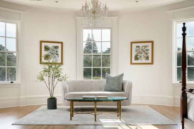 a living room with furniture and a potted plant