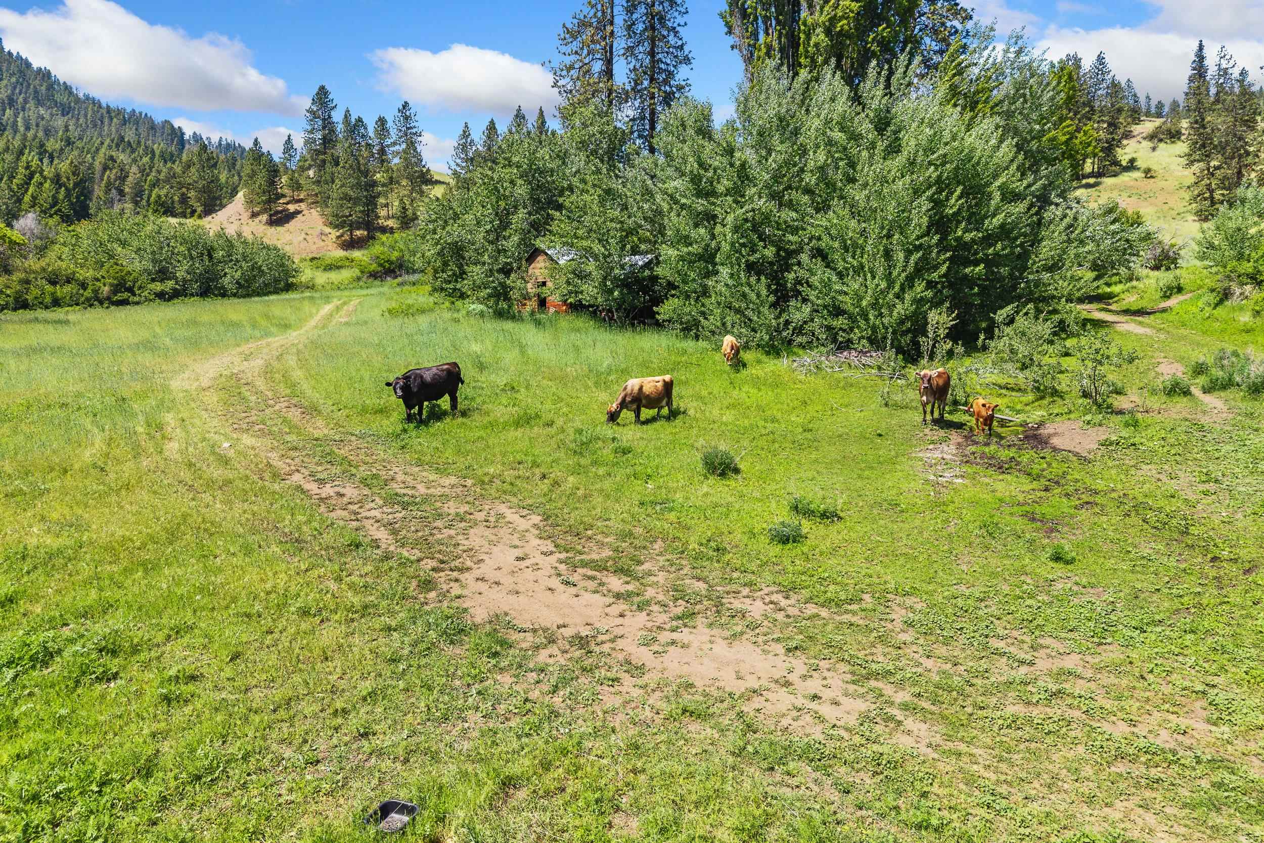 329 X Silver Creek Road Inchelium, WA 99138 - Photo 34 of 49 Gallery Image 34