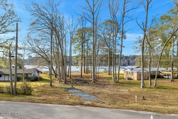 a view of yard with tree
