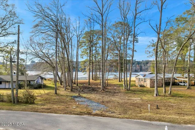 a view of yard with tree