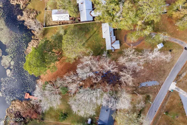 a view of a tree with a yard