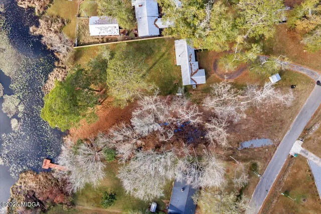 a view of a tree with a yard