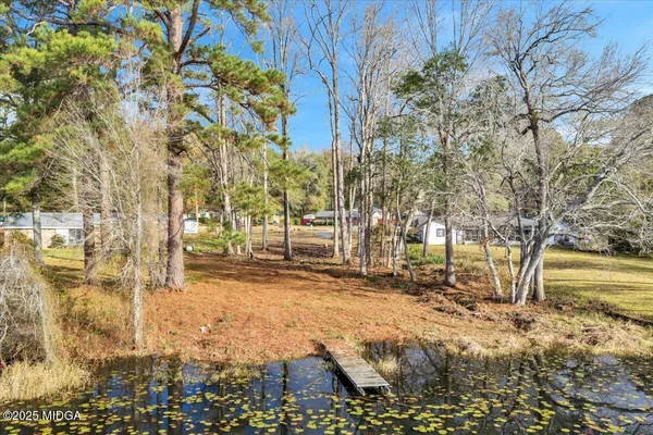 a view of a yard with trees