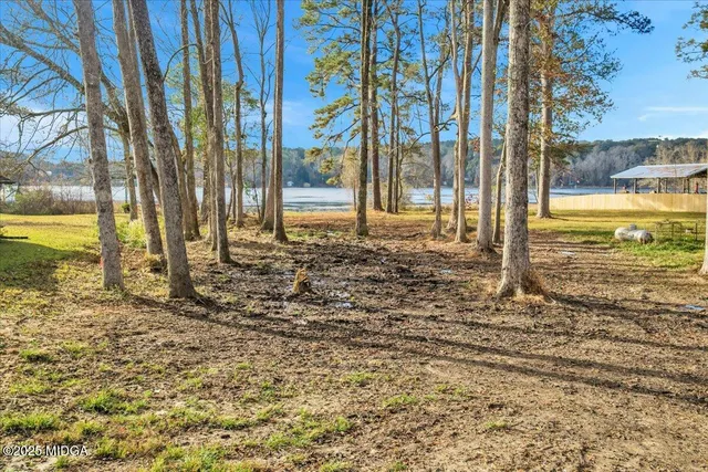 a view of a backyard of the house