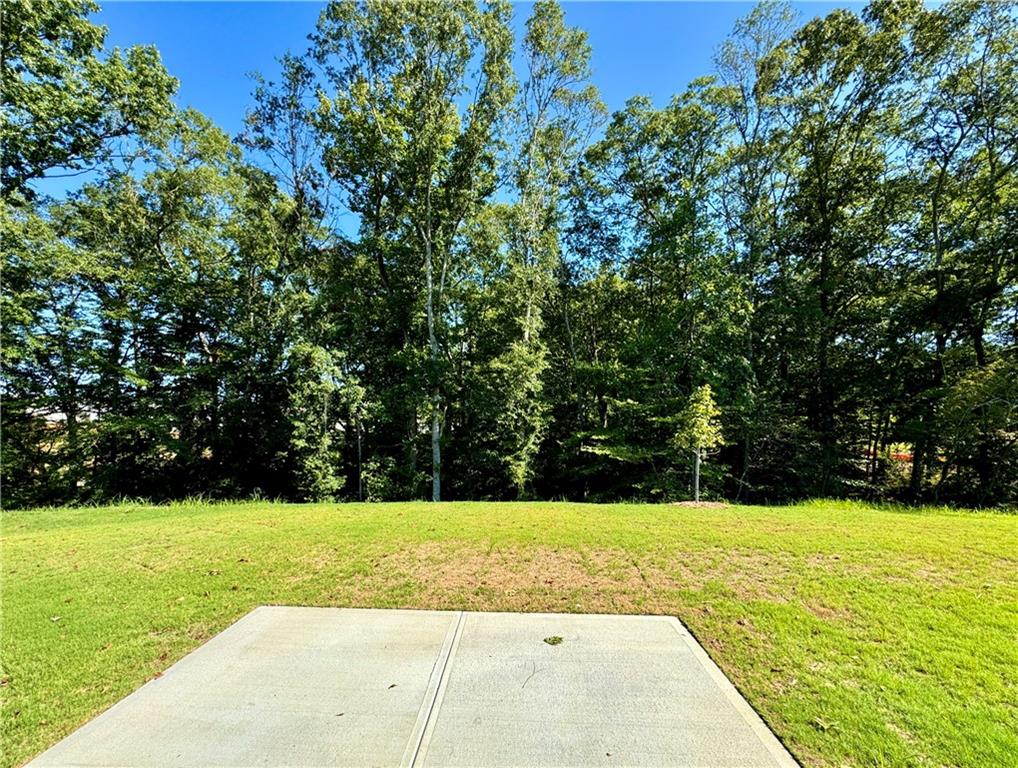 6 Manor Way Braselton, GA 30517 - Photo 23 of 24