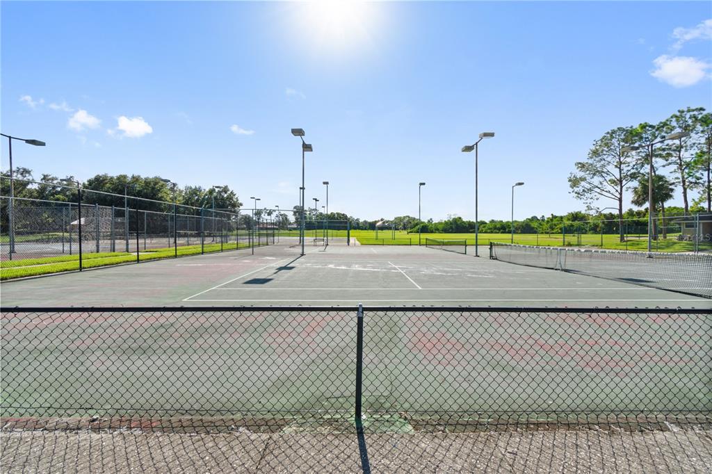 731 Canberra Road Winter Haven, FL 33884 - Photo 42 of 51 a view of a swimming pool with a yard