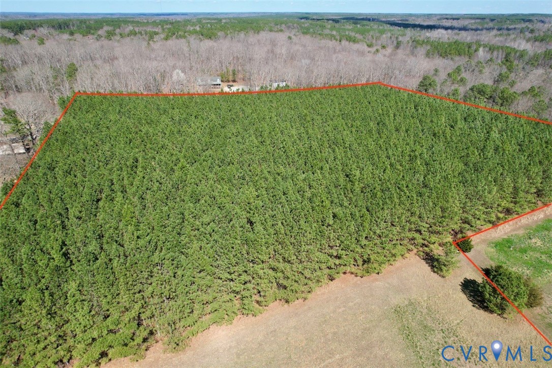 300 Daniel Road Blackstone, VA 23824 - Photo 13 of 14 a view of a lake with a big yard