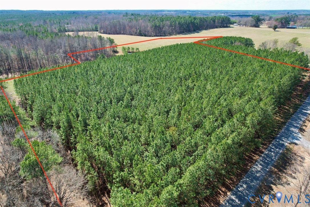 300 Daniel Road Blackstone, VA 23824 - Photo 2 of 14 a view of a lush green field