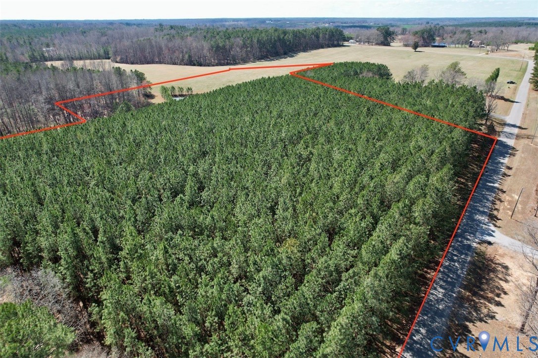 300 Daniel Road Blackstone, VA 23824 - Photo 3 of 14 a view of a garden with a building in the background