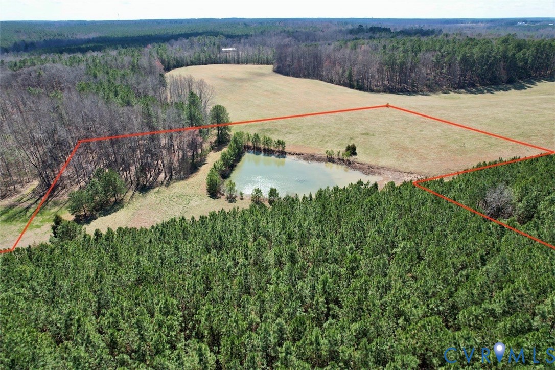 300 Daniel Road Blackstone, VA 23824 - Photo 5 of 14 a view of a backyard