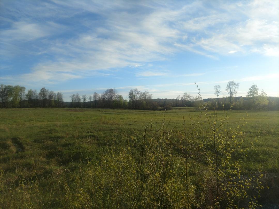 Off South Road, Unit LOT 4 Williston, VT 05495 - Photo 1 of 2
