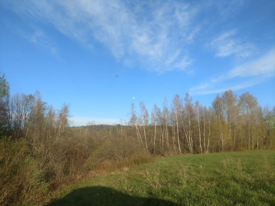 Off South Road, Unit LOT 4 Williston, VT 05495 - Photo 2 of 2