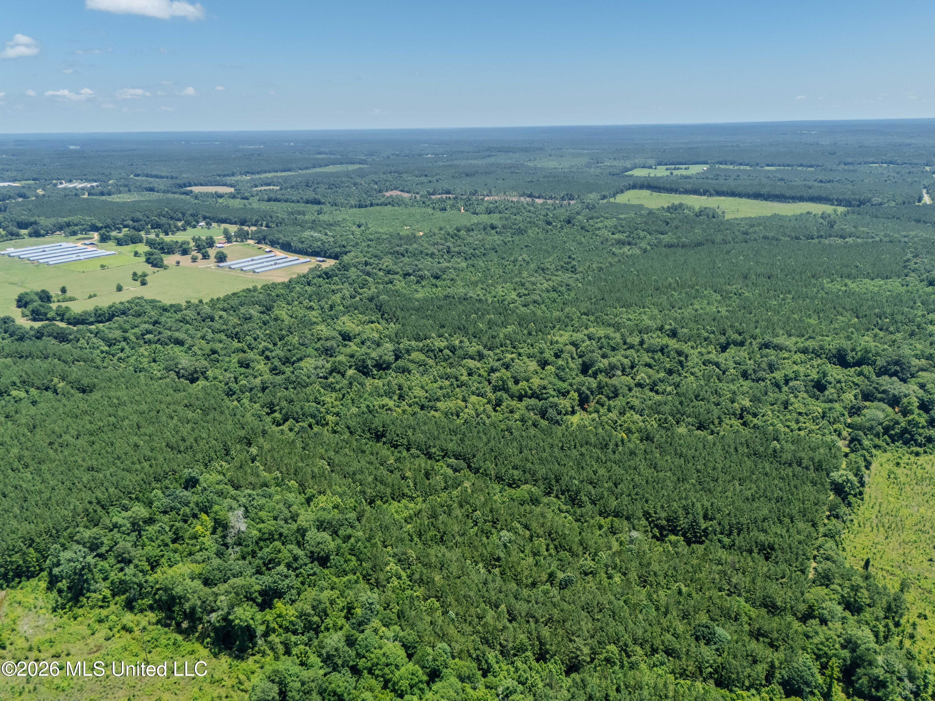 23 Co Road Bay Springs, MS 39422 - Photo 44 of 64 DJI_20260611122521_0008_D