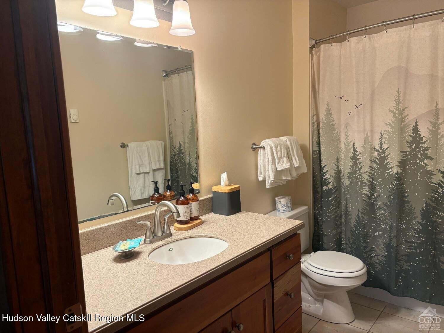 5220 Highway 23, Unit 126 Windham, NY 12496 - Photo 9 of 27 a bathroom with a sink vanity mirror and toilet