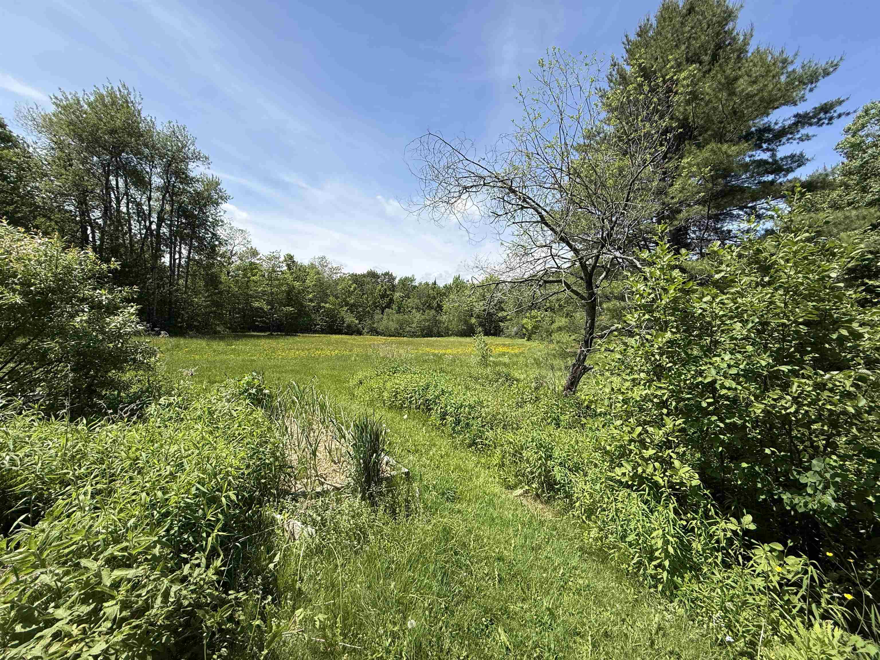 1033 Burrington Hill Road Whitingham, VT 05361 - Photo 49 of 55