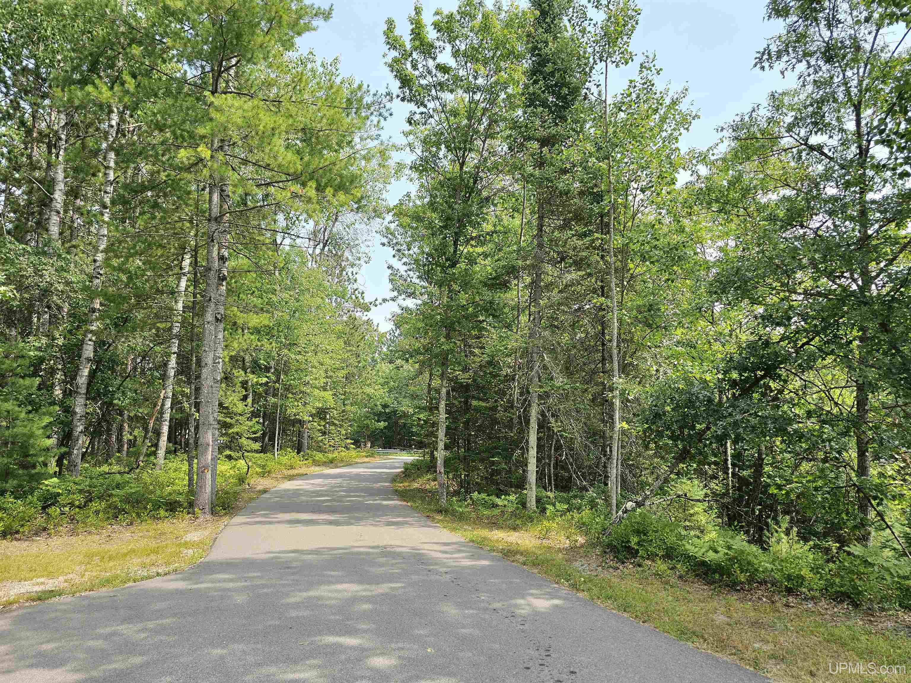9157 Co Road Rapid River, MI 49878 - Photo 39 of 53