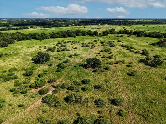 a view of a garden with an outdoor space